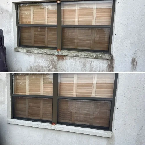 House Washing Tampa (1)