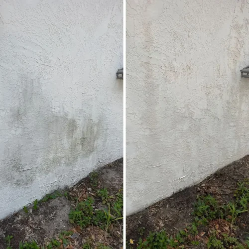 House Washing Tampa (2)