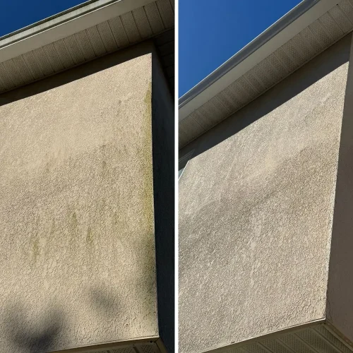 House Washing Tampa (3)