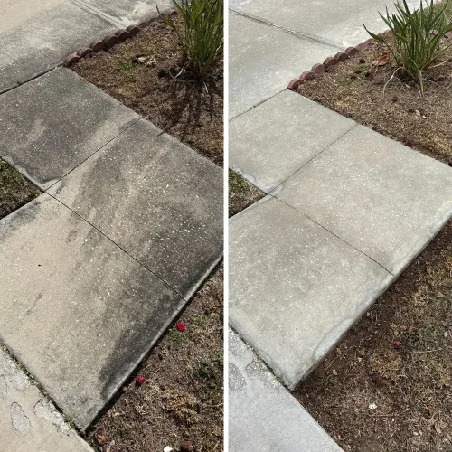 concrete cleaning tampa (10)
