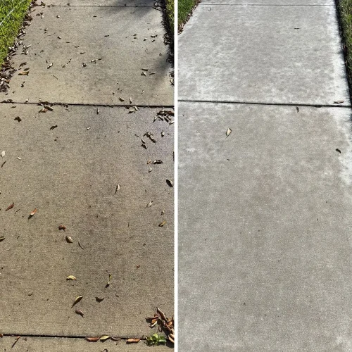 concrete cleaning tampa (6)